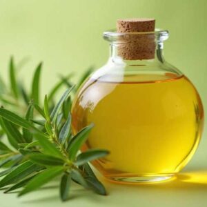 Cajuput Oil