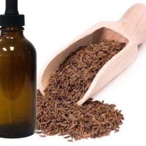 Caraway Spice Oil
