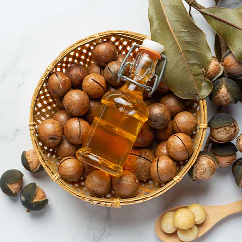 Castor Oil & Its Derivatives