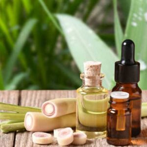 Citronella Oil