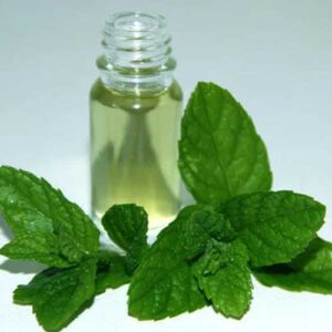 Crude Mentha Oil