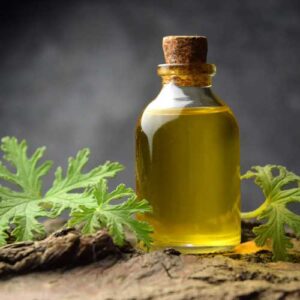 Davana Oil