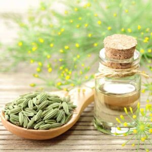 Fennel Seed Oil