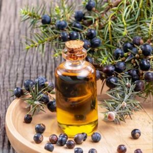 Juniper Berry Oil