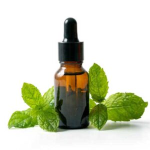 Mint Oil