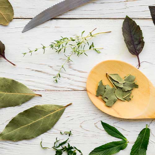 Natural Mint Products