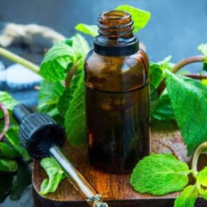Mint Terpene