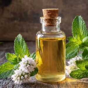 Peppermint Oil
